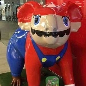 Meet your Posher, Cole